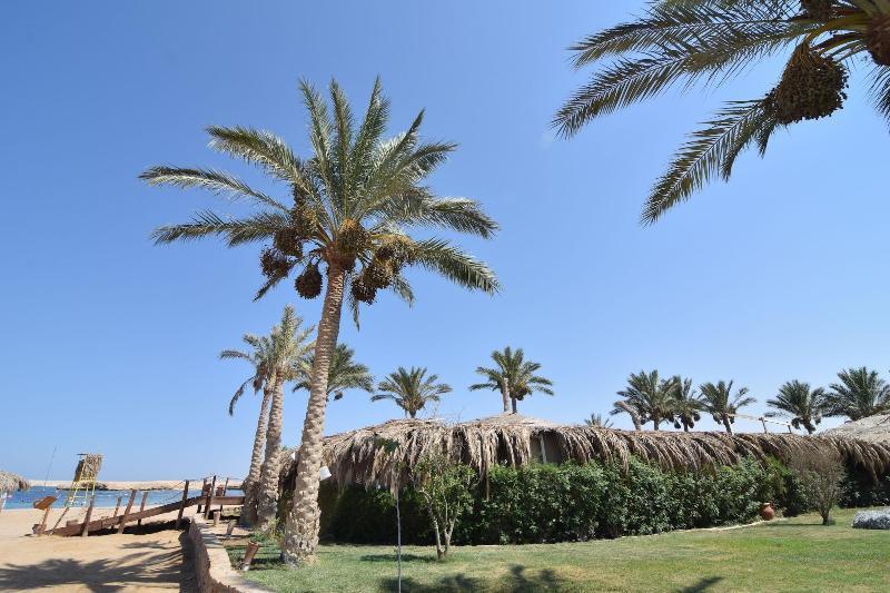 Sharm El Naga Resort And Diving Center Hurghada Esterno foto