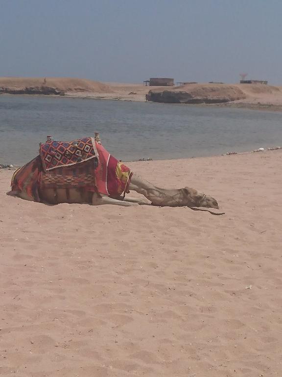 Sharm El Naga Resort And Diving Center Hurghada Esterno foto