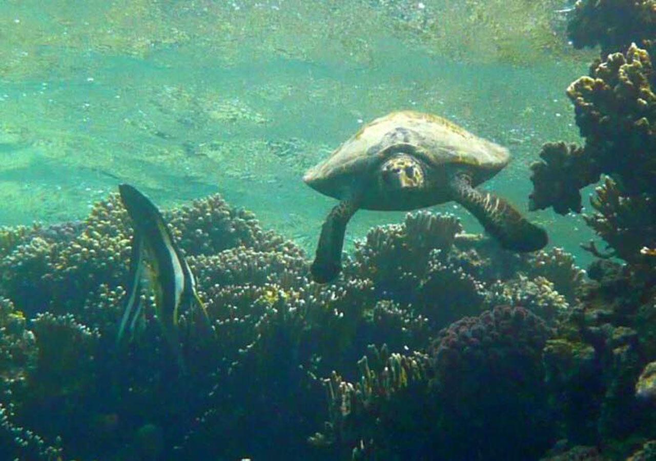 Sharm El Naga Resort And Diving Center Hurghada Esterno foto