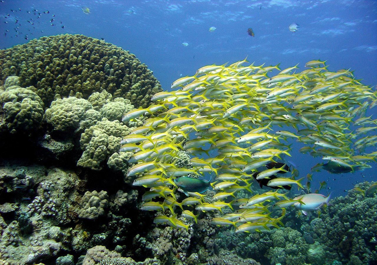 Sharm El Naga Resort And Diving Center Hurghada Esterno foto