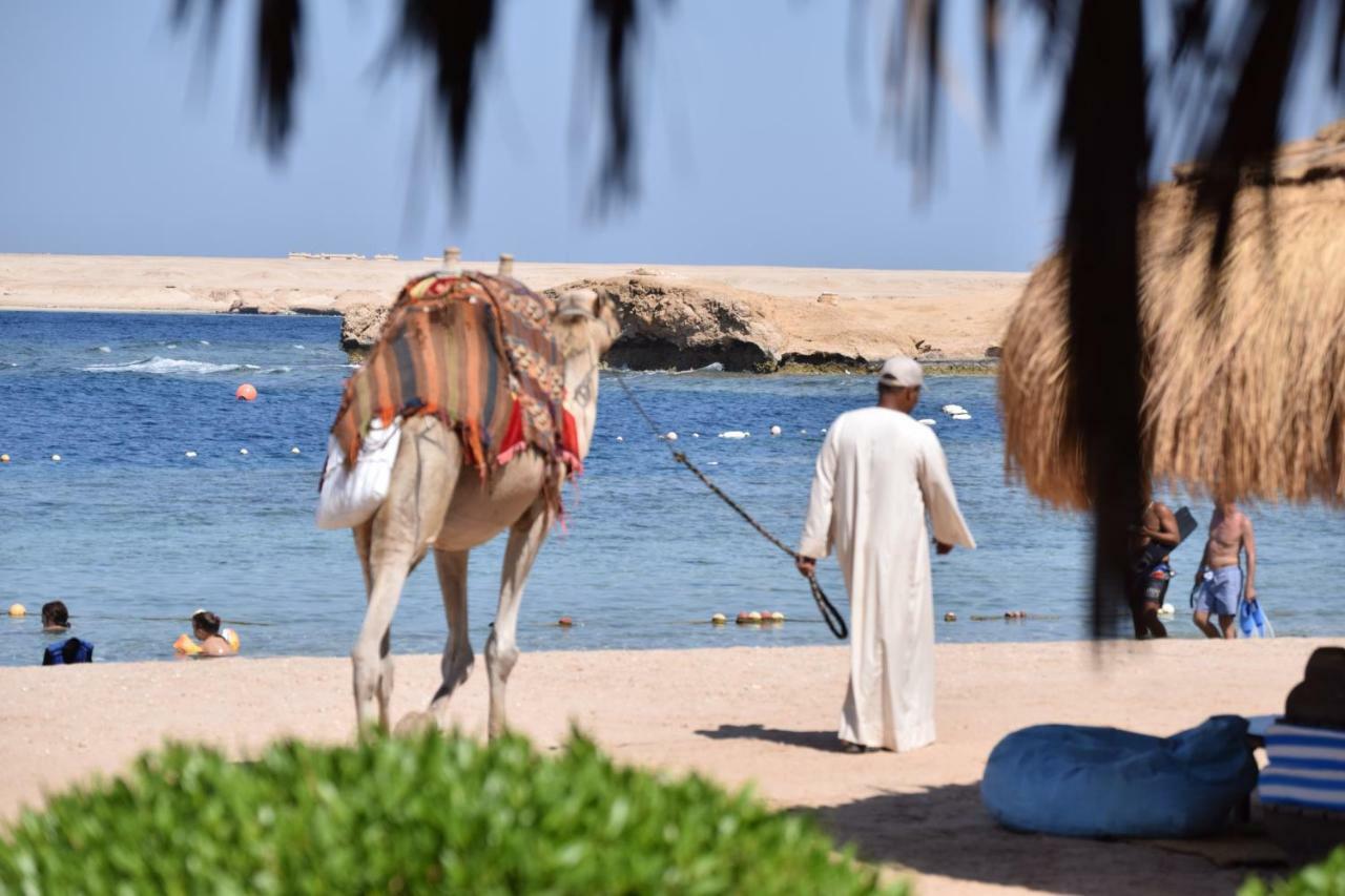 Sharm El Naga Resort And Diving Center Hurghada Esterno foto