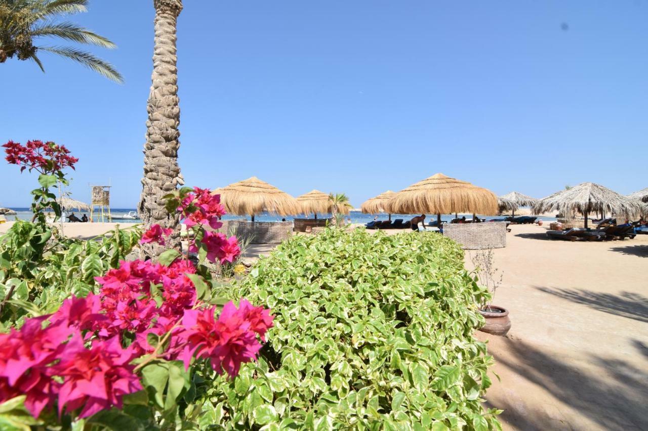 Sharm El Naga Resort And Diving Center Hurghada Esterno foto